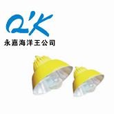 供应防爆道路（平台）灯 BLC8600 